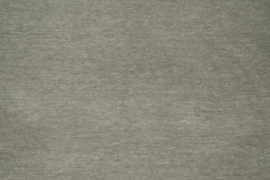 SNUGLY CHINCHILLA.jpg