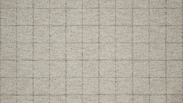 SOCIAL STUDIES PEBBLE.jpg