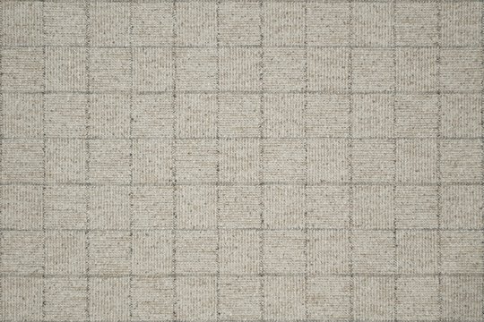 SOCIAL STUDIES PEBBLE.jpg