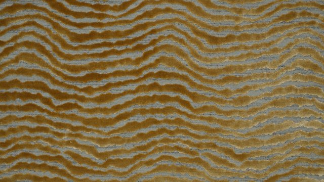 SOVEREIGN FILIGREE.jpg