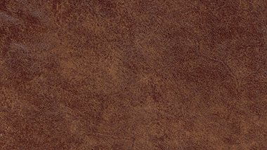 Stallone Rawhide Image