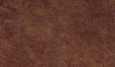 Stallone Rawhide Image