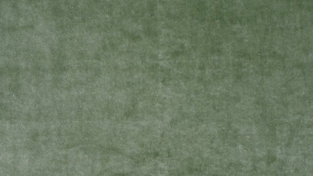 SUNSHINE SAGE copy.jpg