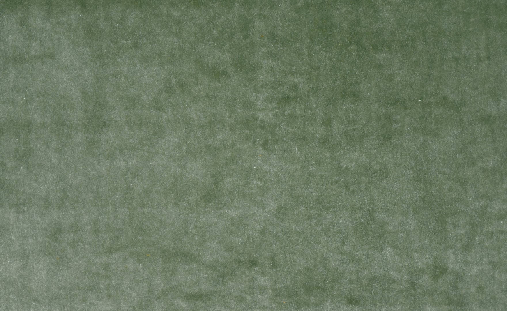 SUNSHINE SAGE copy.jpg