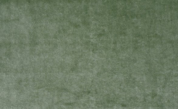 SUNSHINE SAGE copy.jpg