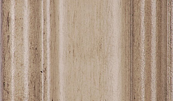 Swedish Grey Premium Image