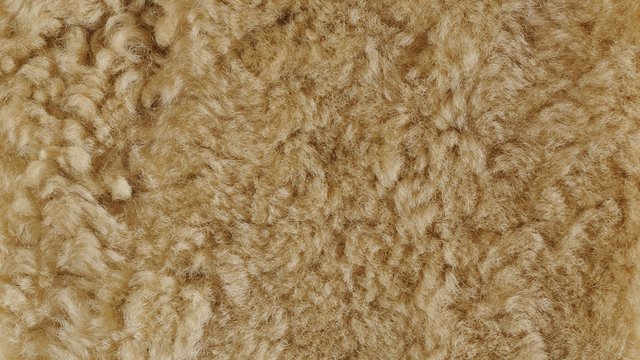 Shearling Dusty Beige.jpg