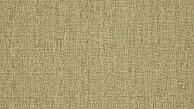 Slingshot Flax Image