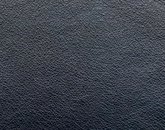 Stargo Cadet_final.jpg