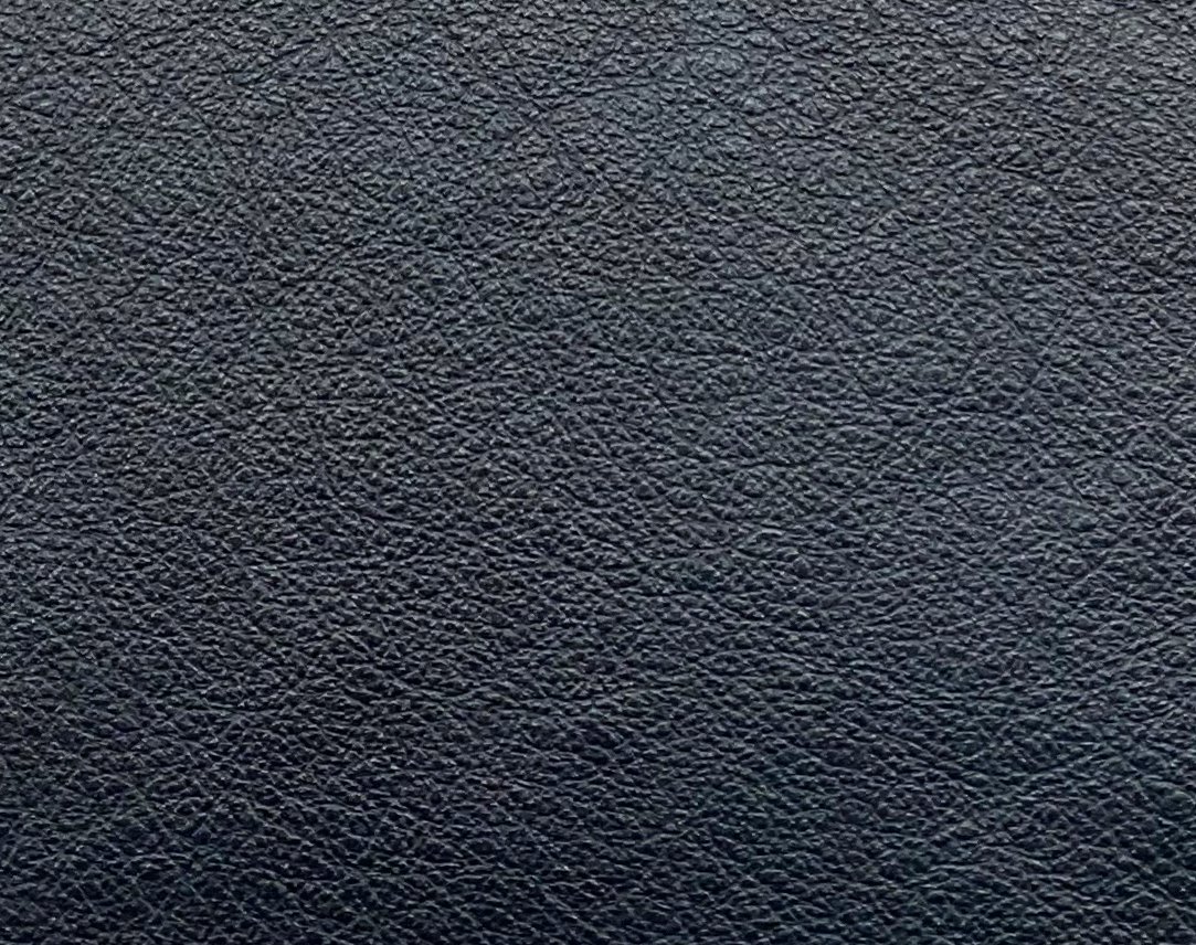 Stargo Cadet_final.jpg