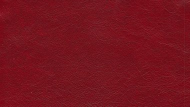 Stargo Pomegranate Image