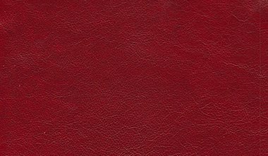 Stargo Pomegranate Image