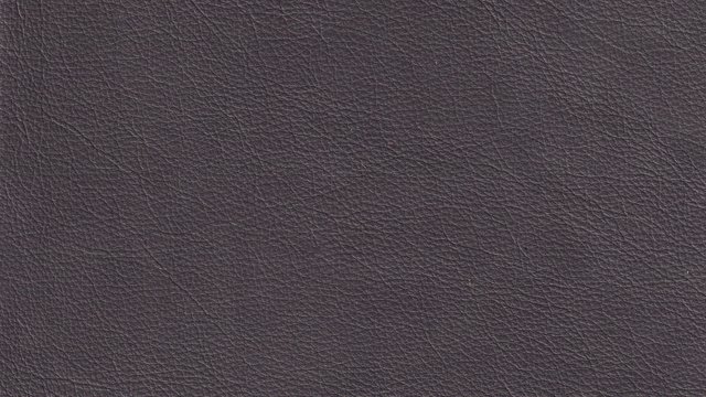 Stargo Sinister Image