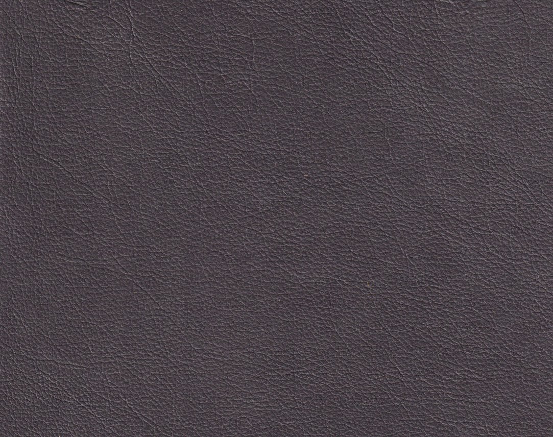 Stargo Sinister Image