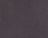 Stargo Sinister Image