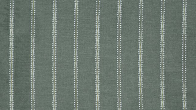 TALISMAN FERN copy.jpg