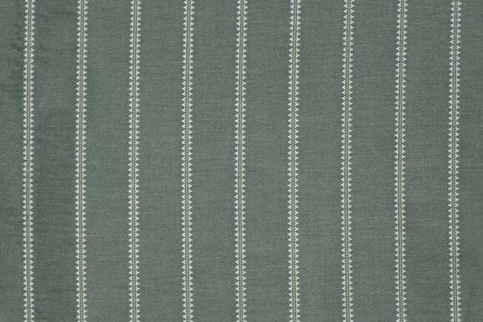 TALISMAN FERN copy.jpg
