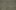 TAZZA EVERGREEN.jpg