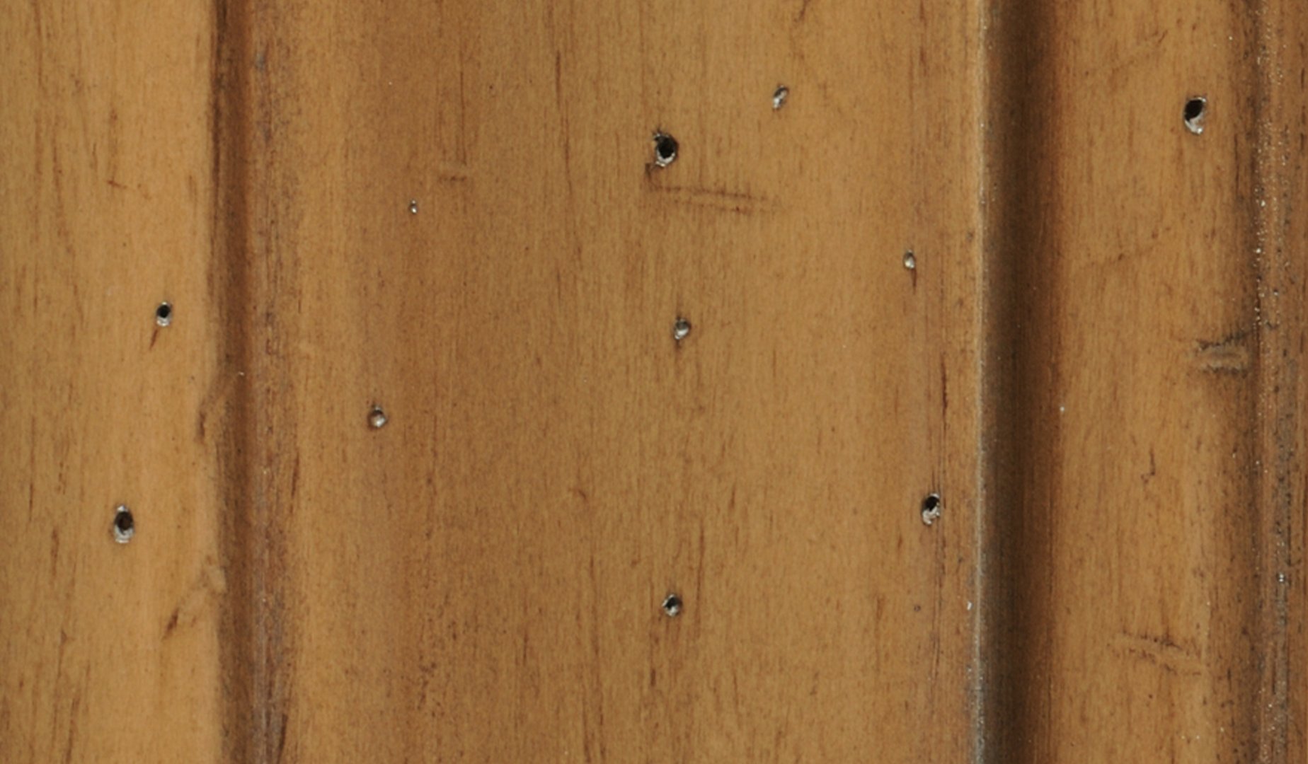 TKF - Driftwood Swatch.jpg