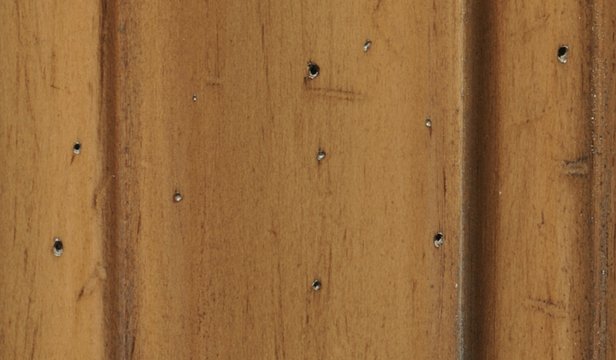 TKF - Driftwood Swatch.jpg