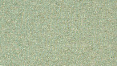 Torrontes Capri Image