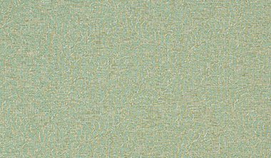 Torrontes Capri Image