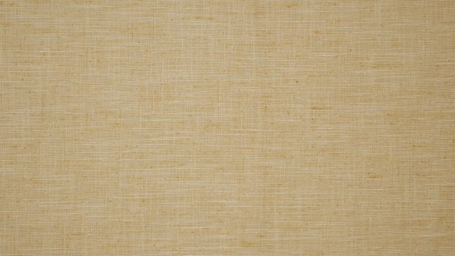 TRAILSIDE SUNSHINE.jpg