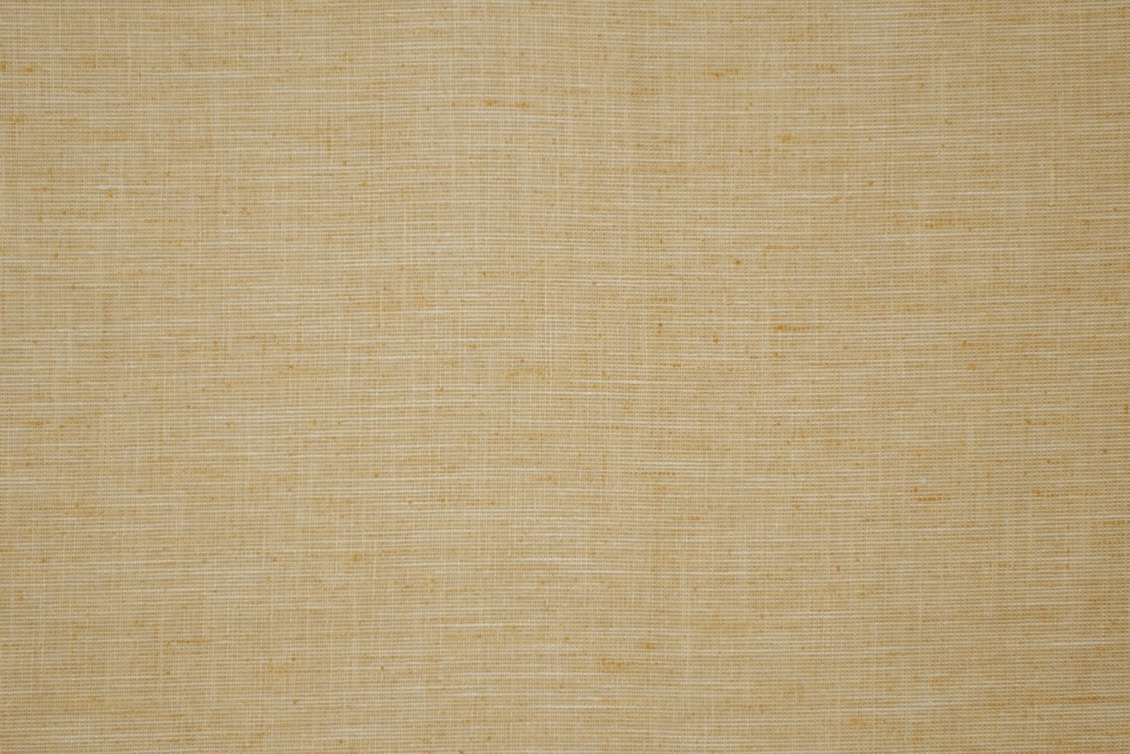 TRAILSIDE SUNSHINE.jpg