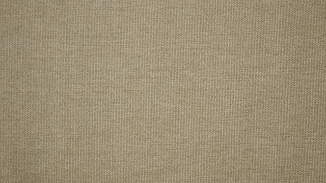 Timeless Putty Image