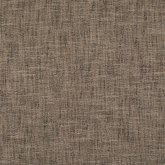 UV LILLER-TORTOISE.jpg