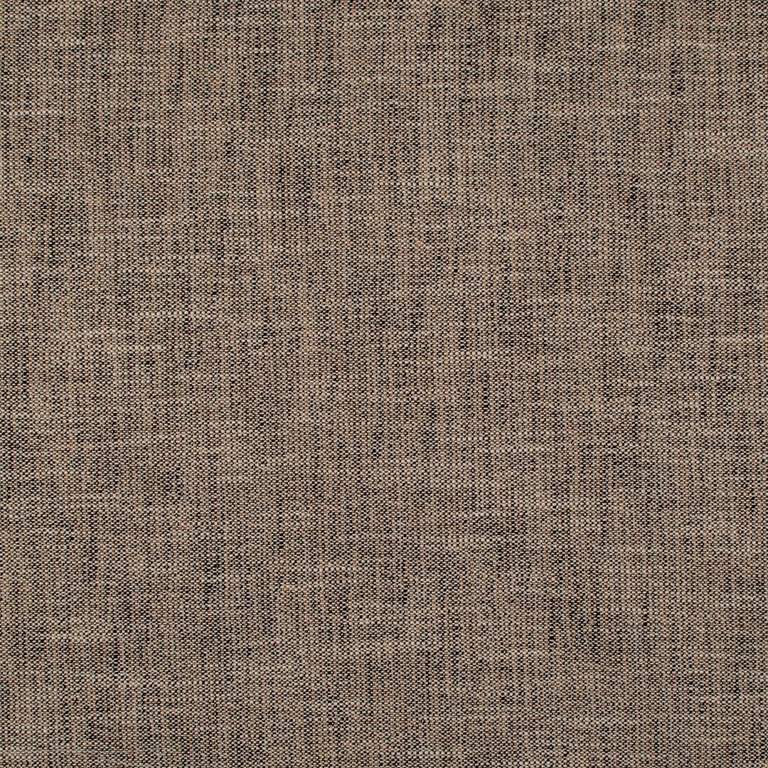 UV LILLER-TORTOISE.jpg