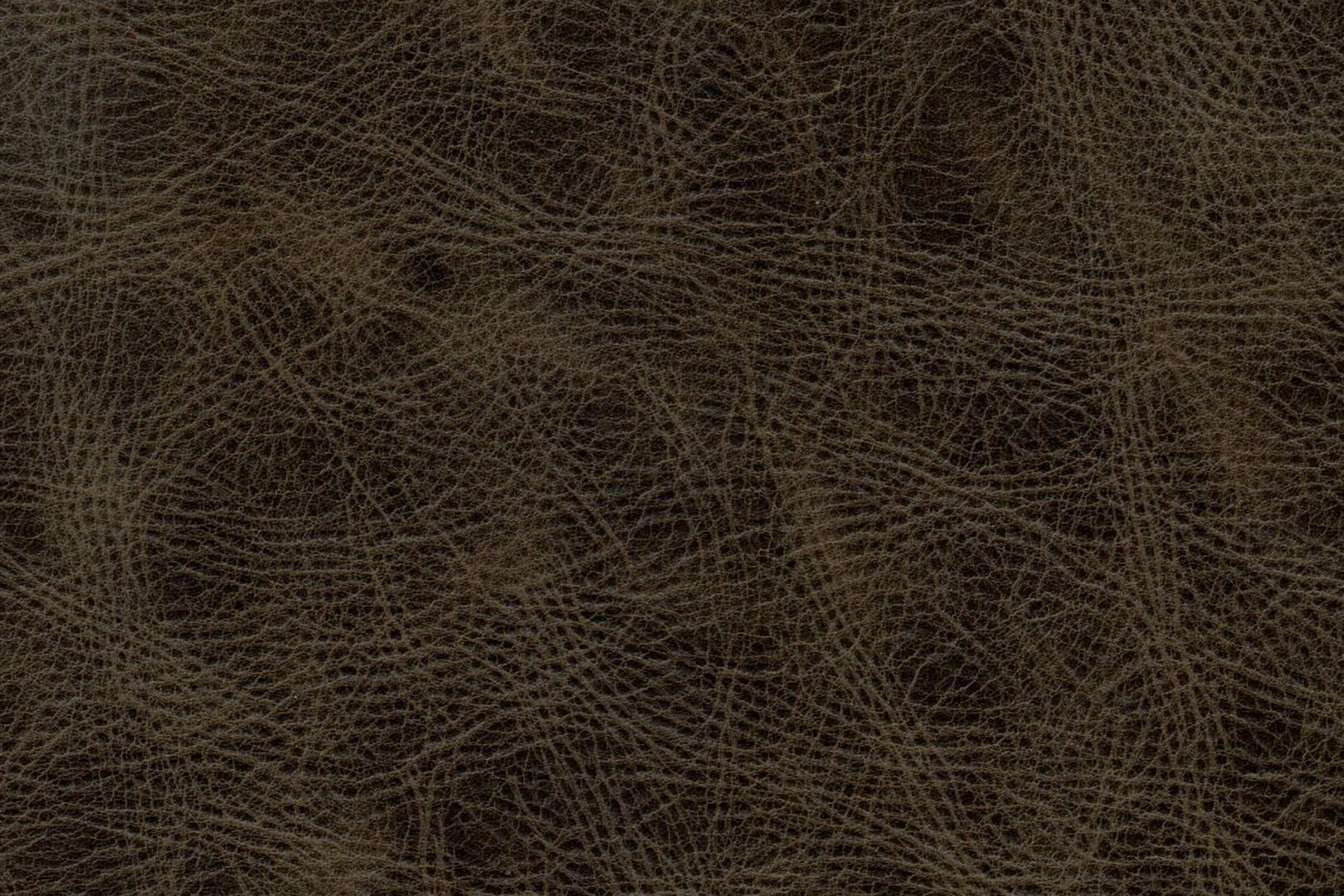 VENERANDO BROWN STONE