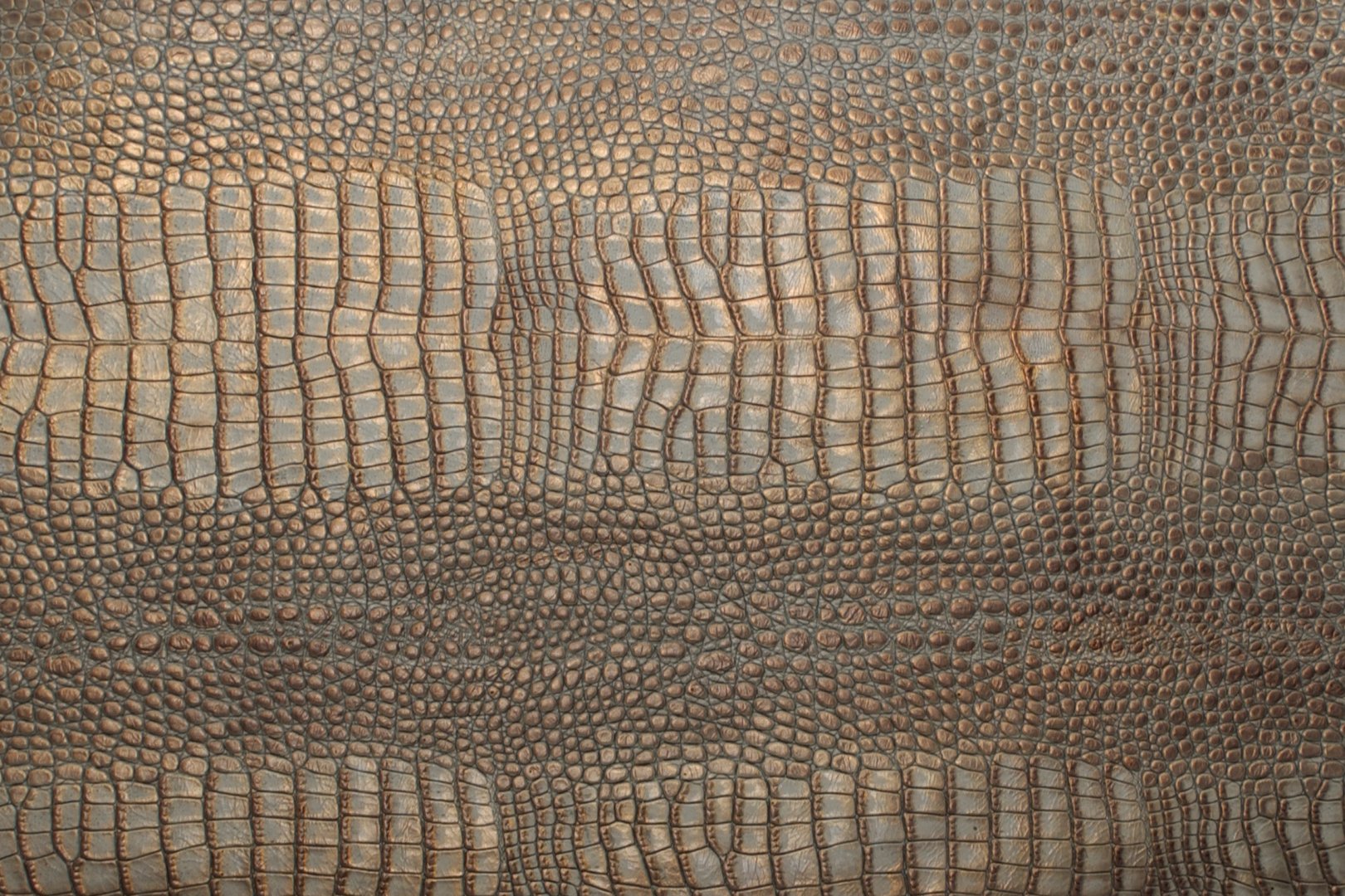 WALLY GATOR SHIMMER.jpg