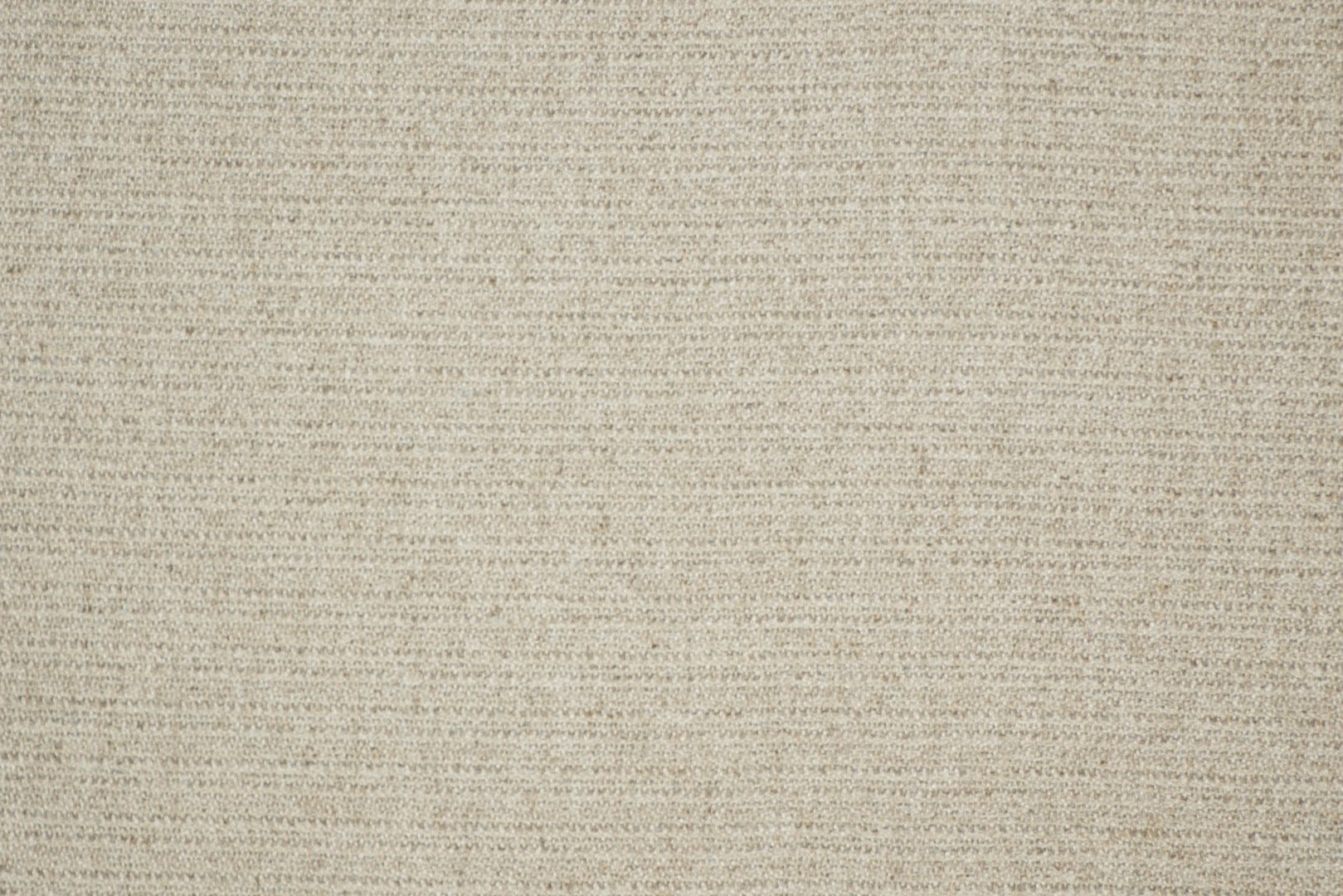 WILLIAMBURG ABALONE.jpg