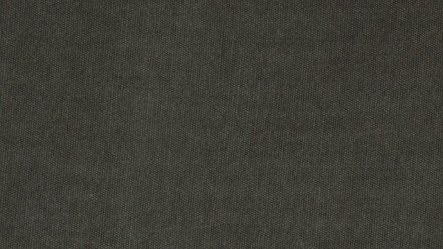 WILSHIRE PIRATE Image