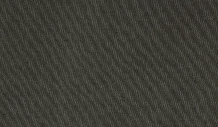 WILSHIRE PIRATE Image