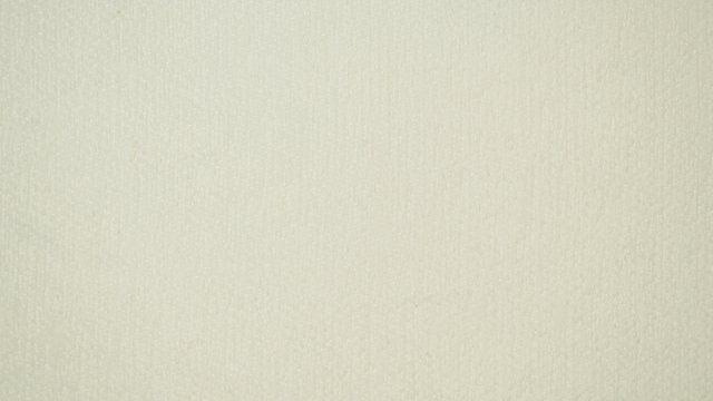 WINTER PARK SNOW.jpg