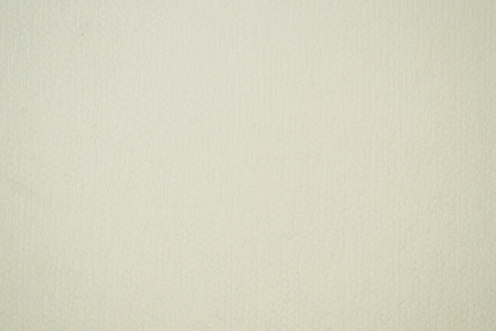 WINTER PARK SNOW.jpg