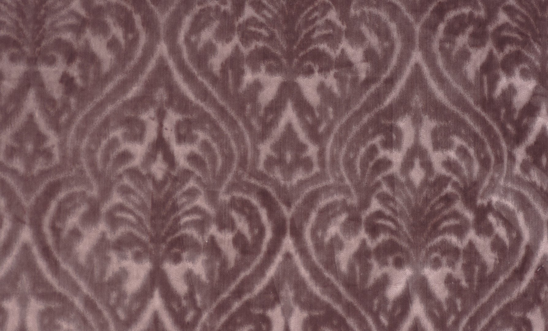 WUNDERLAND PLUM copy.jpg