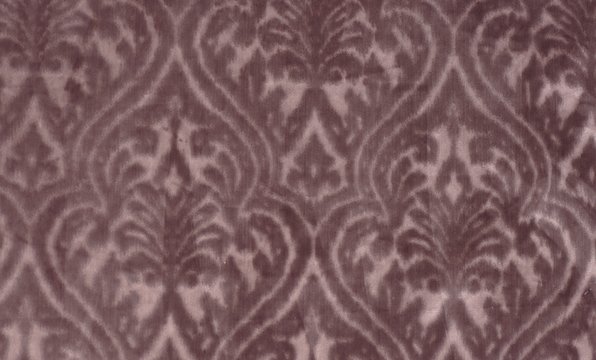 WUNDERLAND PLUM copy.jpg