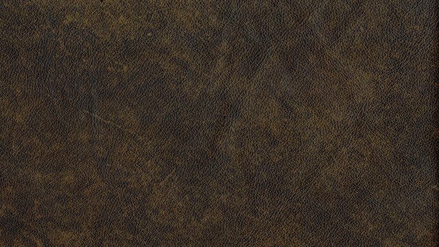 WYLIE TREE CLIMB.jpg