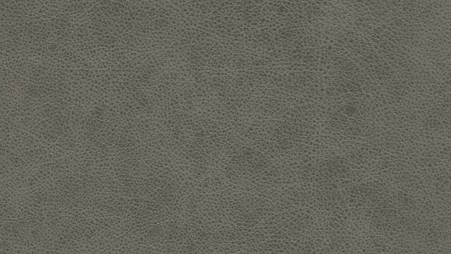 Warrior Charcoal.jpg