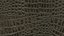 What A Croc Iron Ore.jpg