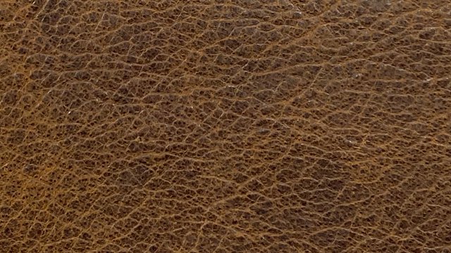 Winchester Coffeebean_final.jpg