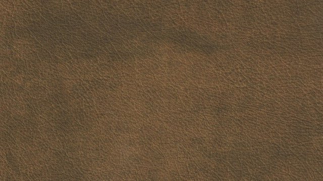 Wylie Chocolate Image