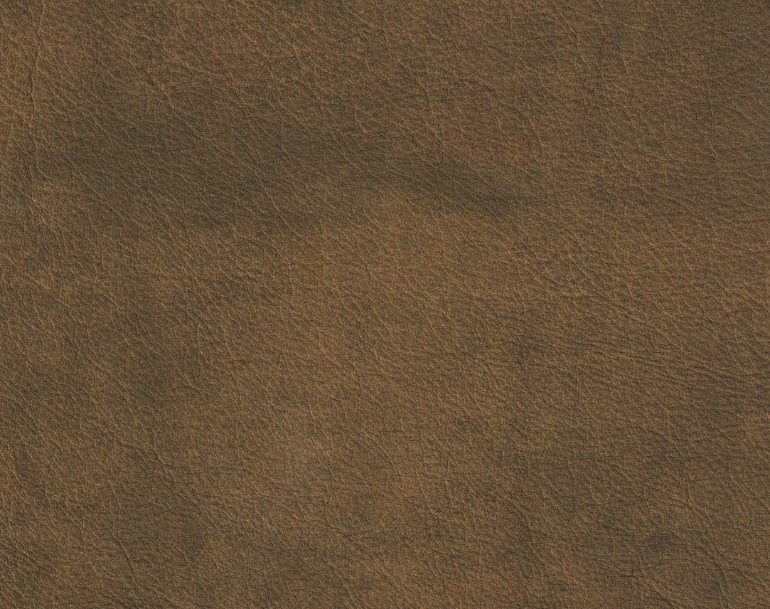 Wylie Chocolate Image