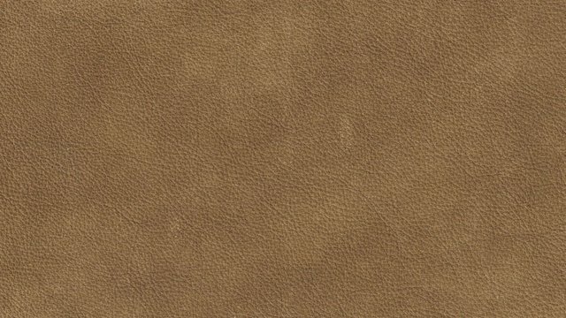 Wylie Taupe Image