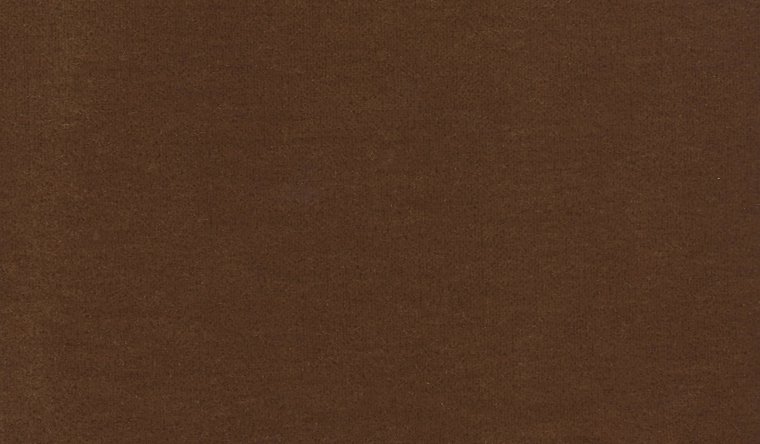 Bach Monarch Gold Image