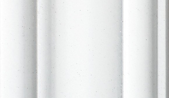 Coconut Premium Image