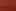 banks zinnia.jpg